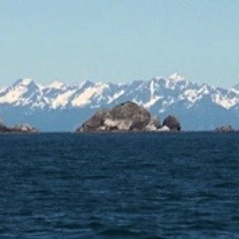 Screen Shot 2016-07-11 at 11.45.22 AM.jpg